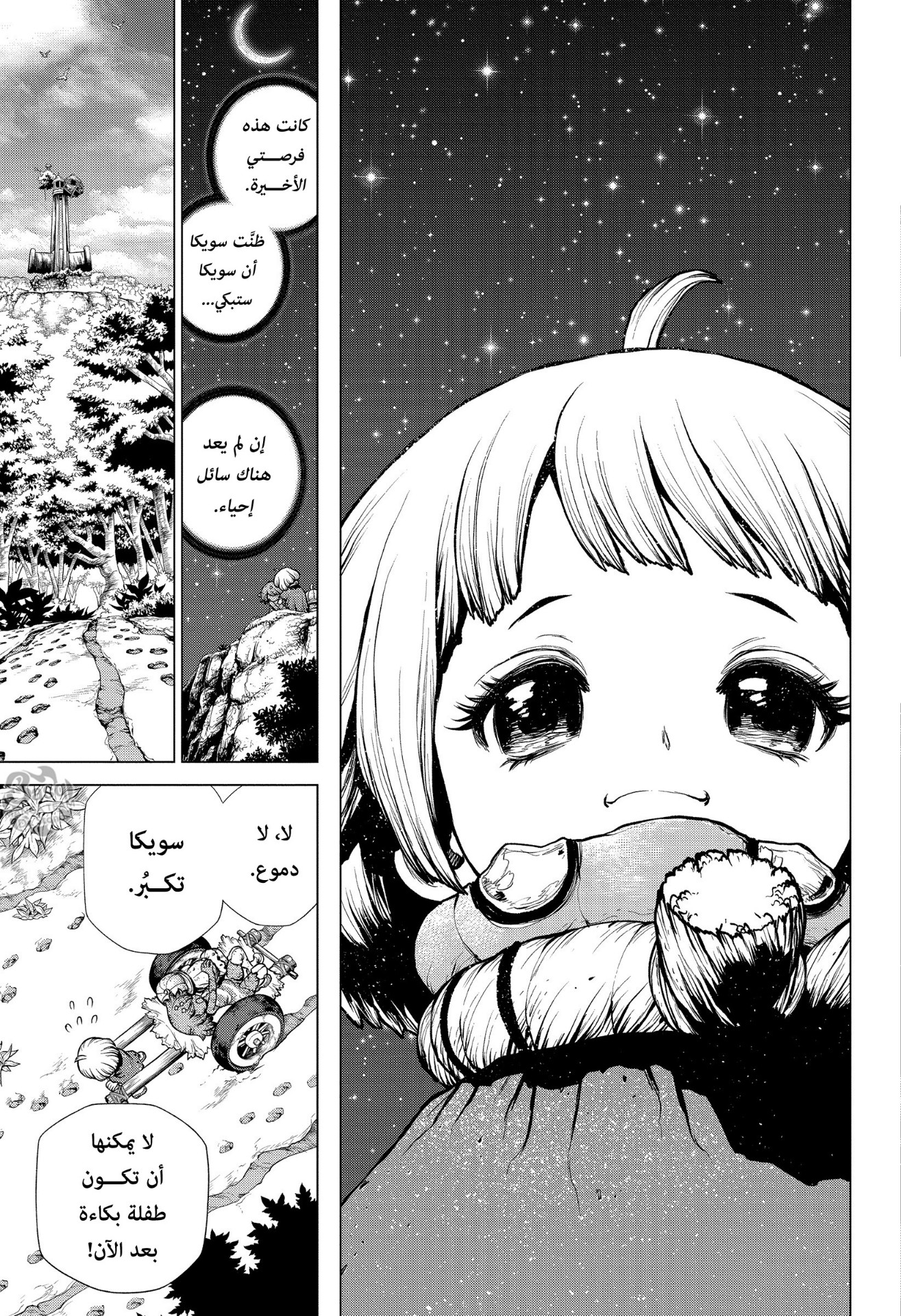 Dr. Stone: Chapter 195 - Page 13