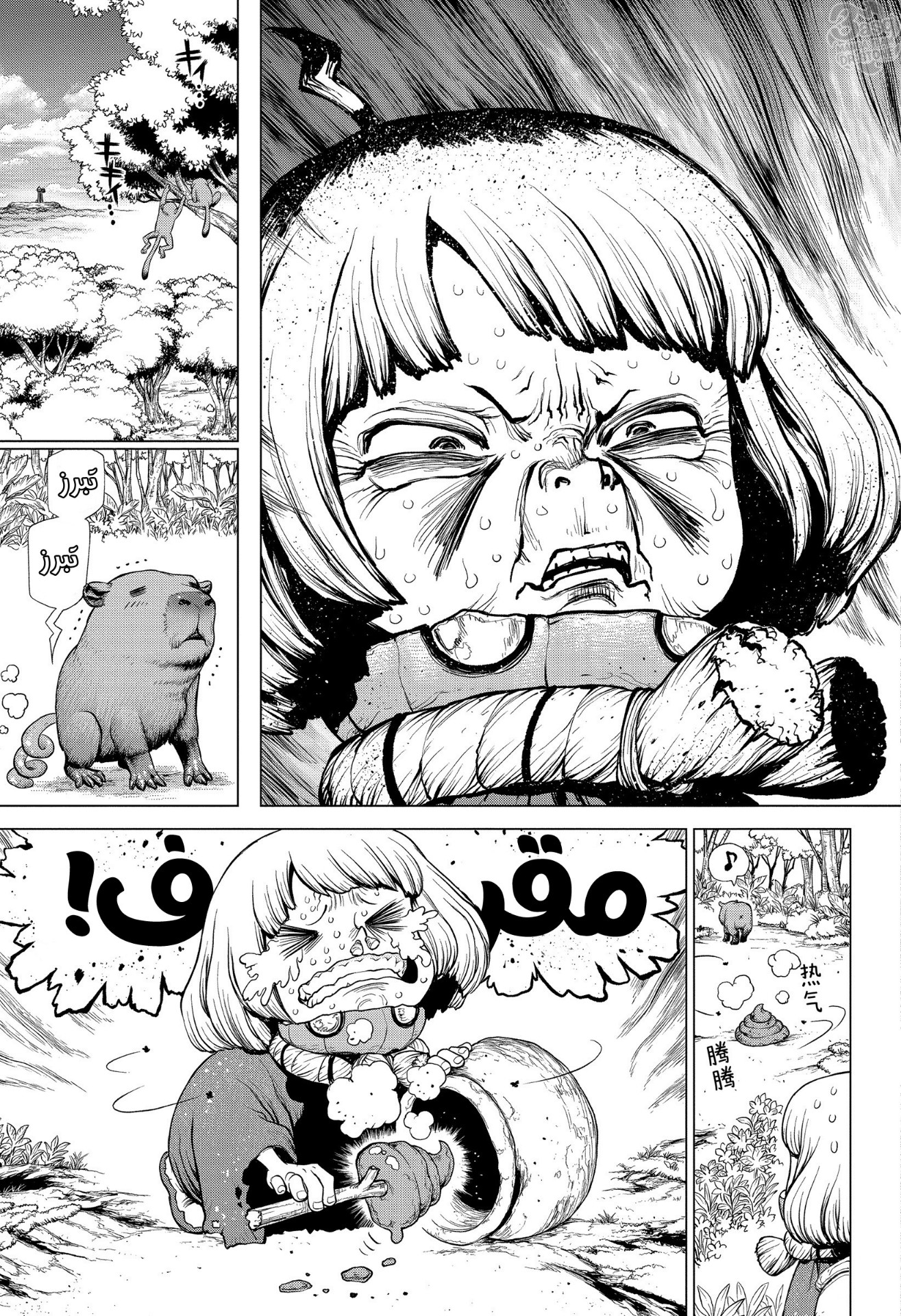 Dr. Stone: Chapter 196 - Page 8