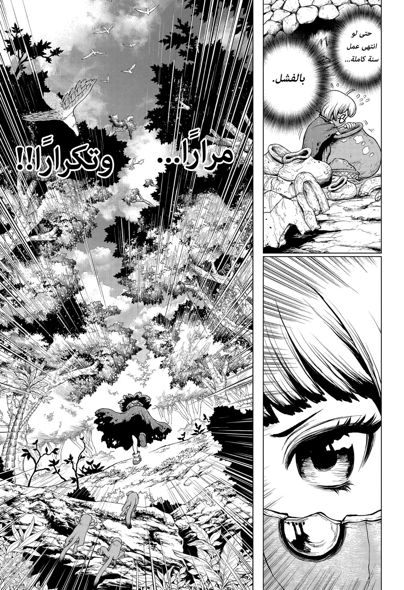Dr. Stone: Chapter 196 - Page 14