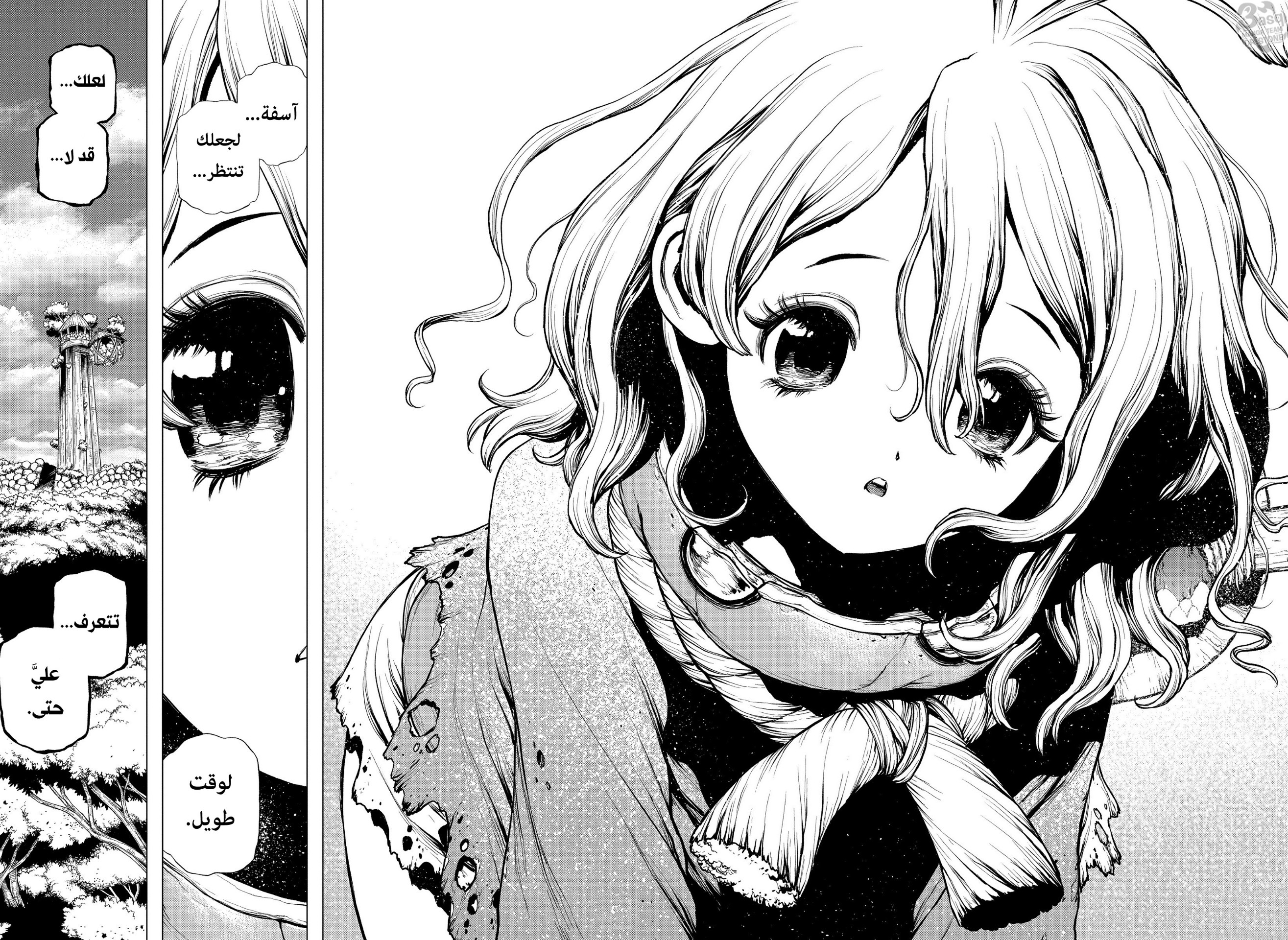 Dr. Stone: Chapter 196 - Page 17