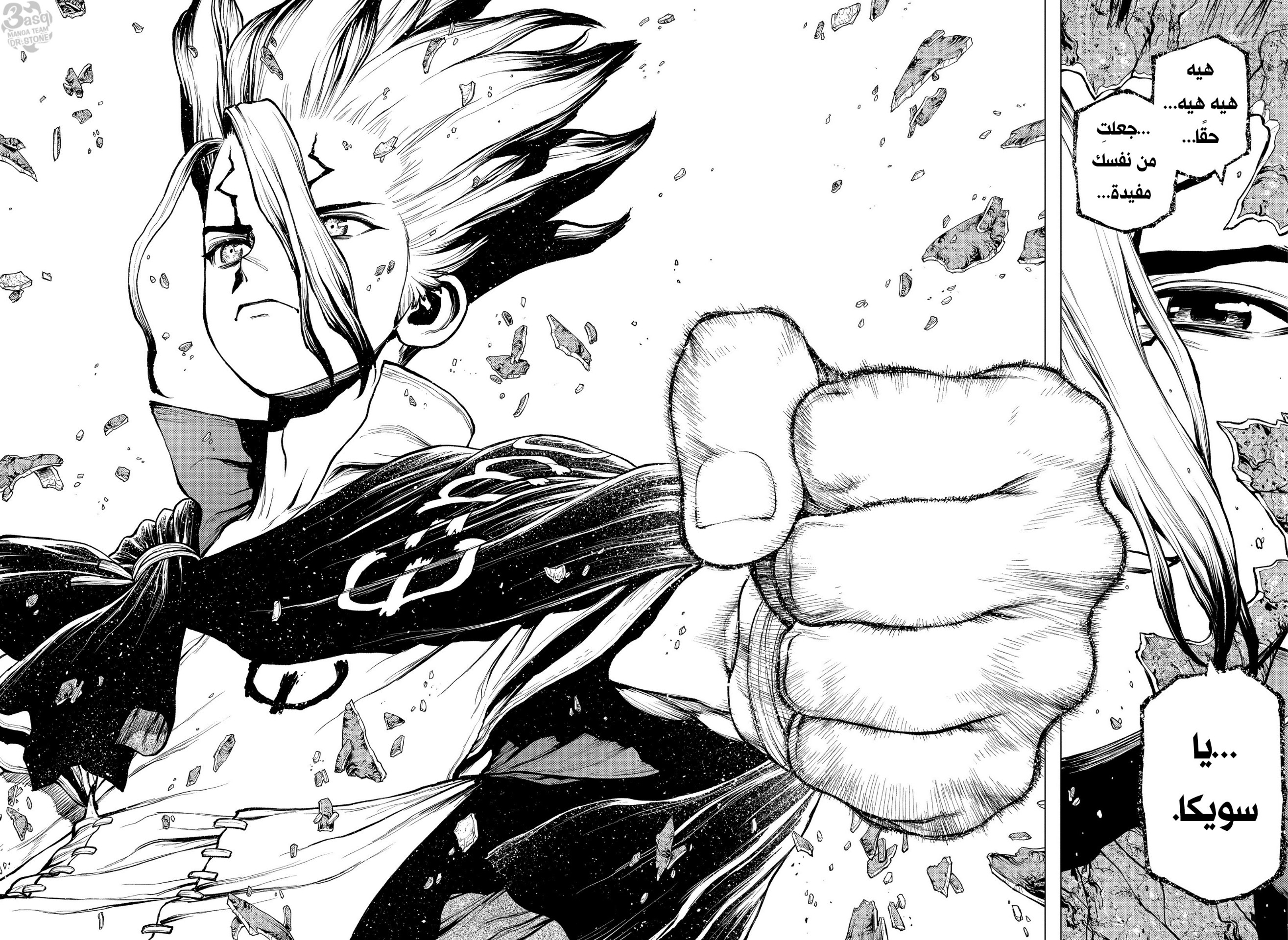 Dr. Stone: Chapter 196 - Page 18