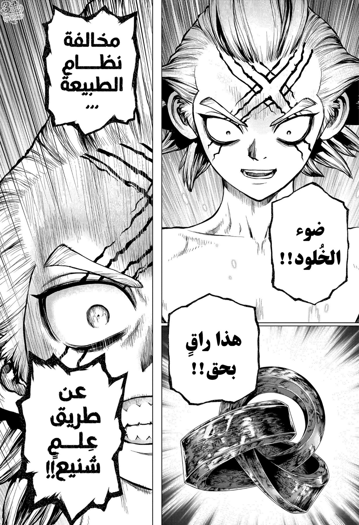 Dr. Stone: Chapter 198 - Page 7