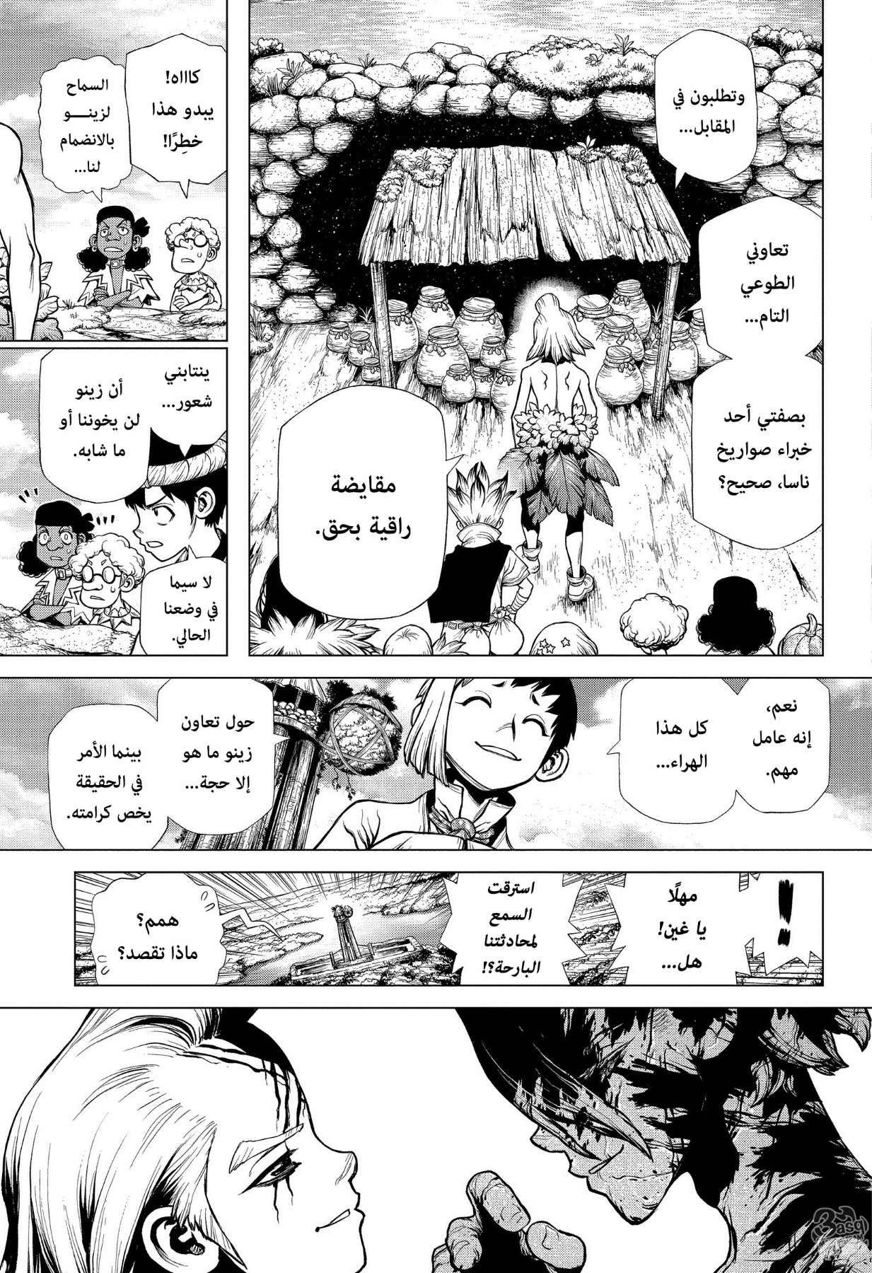 Dr. Stone: Chapter 198 - Page 14