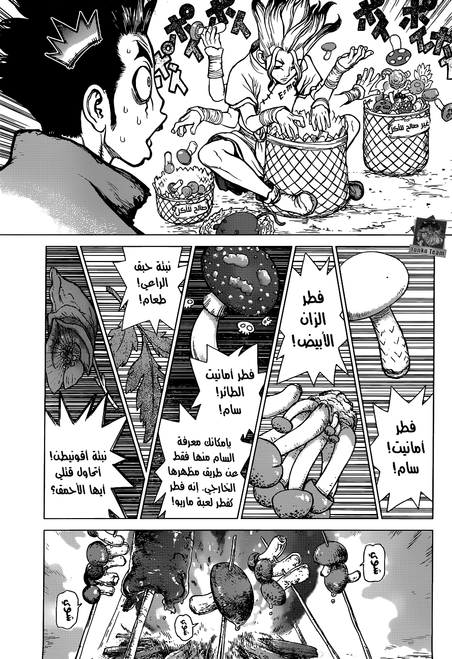 Dr. Stone: Chapter 2 - Page 4