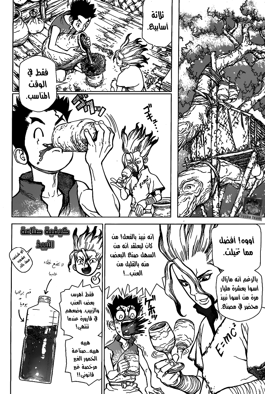 Dr. Stone: Chapter 2 - Page 15