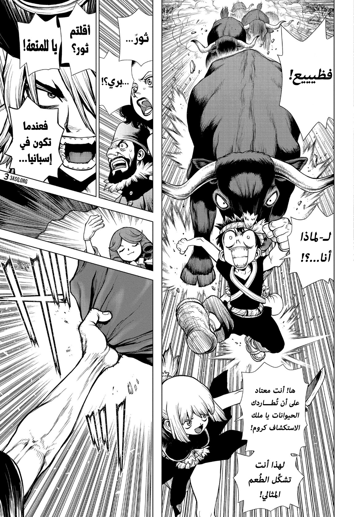 Dr. Stone: Chapter 202 - Page 11