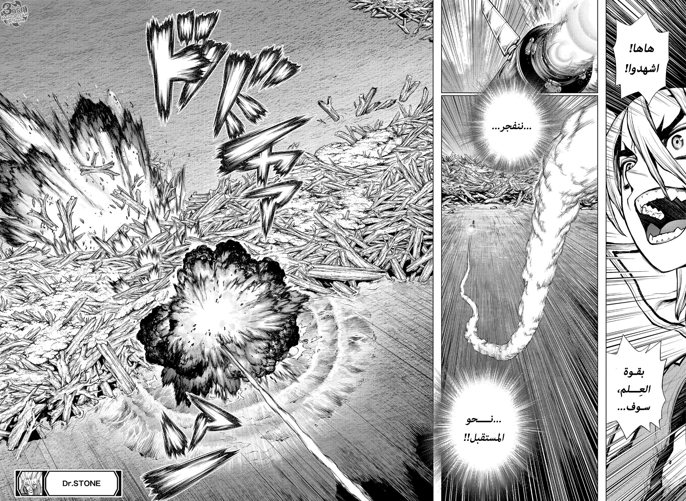 Dr. Stone: Chapter 203 - Page 18