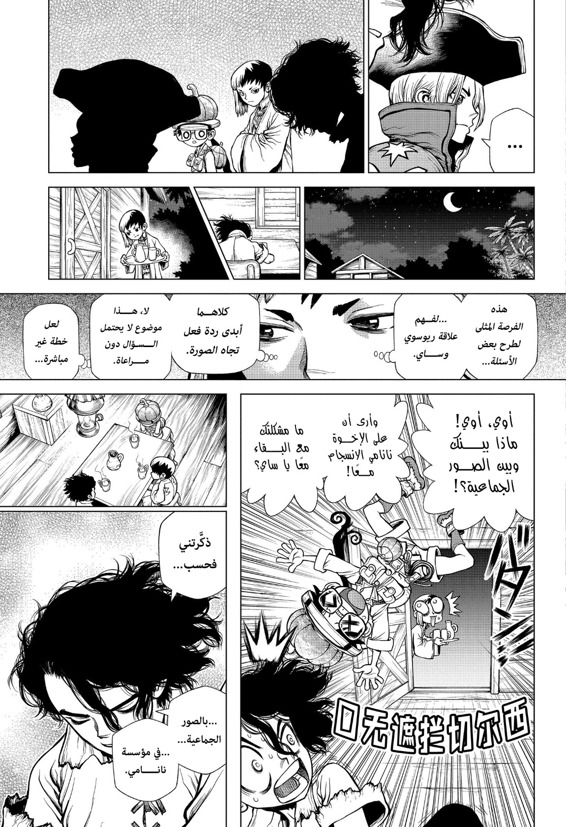 Dr. Stone: Chapter 207 - Page 10