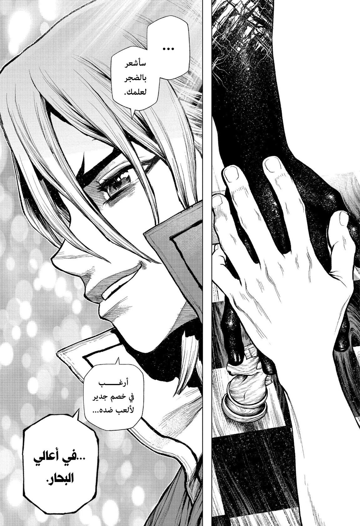 Dr. Stone: Chapter 207 - Page 19