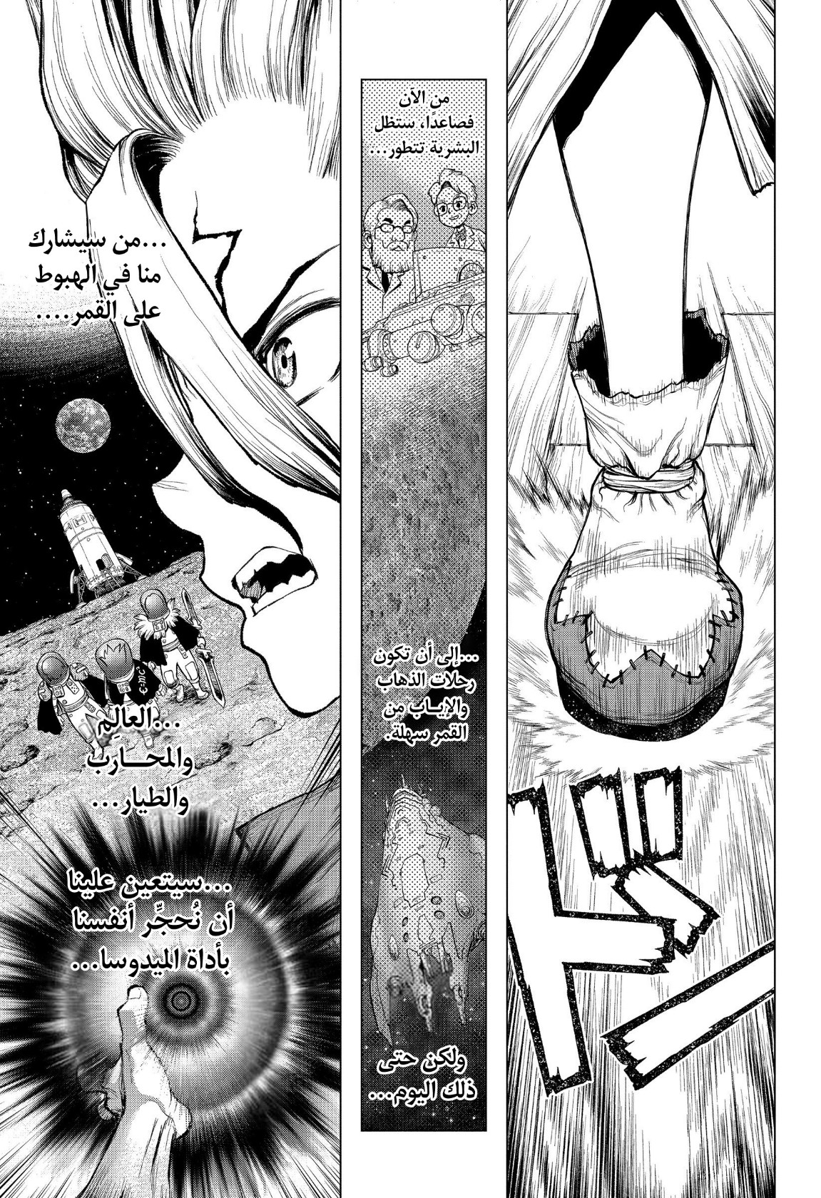 Dr. Stone: Chapter 209 - Page 17