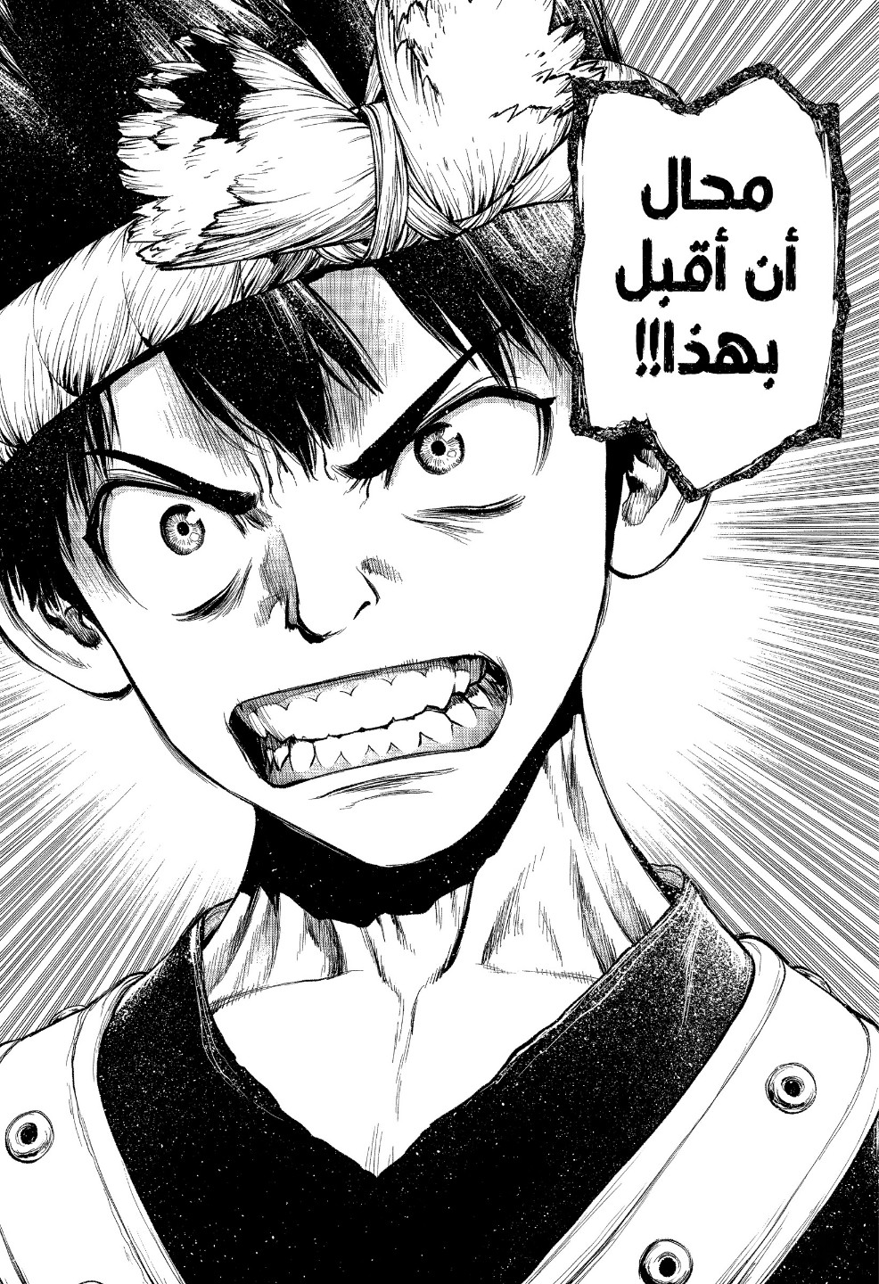 Dr. Stone: Chapter 210 - Page 12