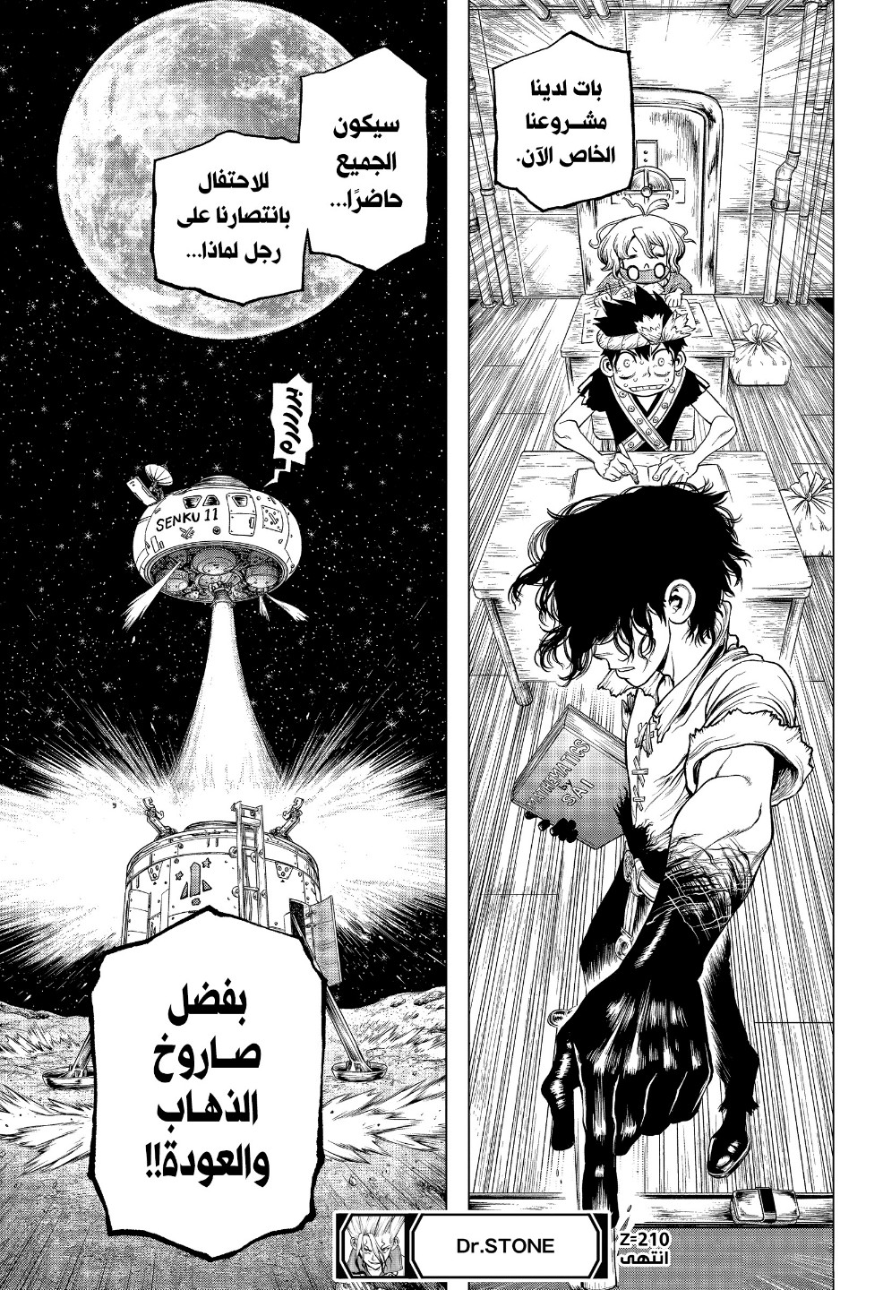 Dr. Stone: Chapter 210 - Page 18