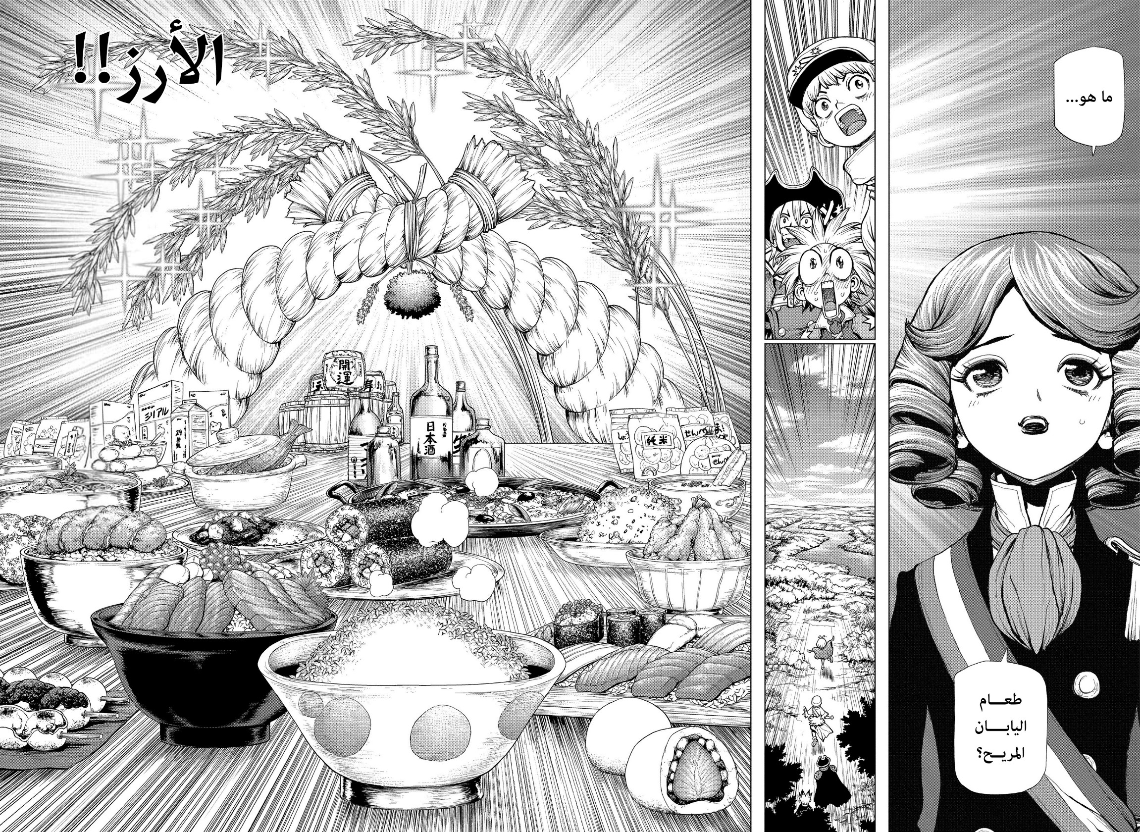 Dr. Stone: Chapter 211 - Page 8