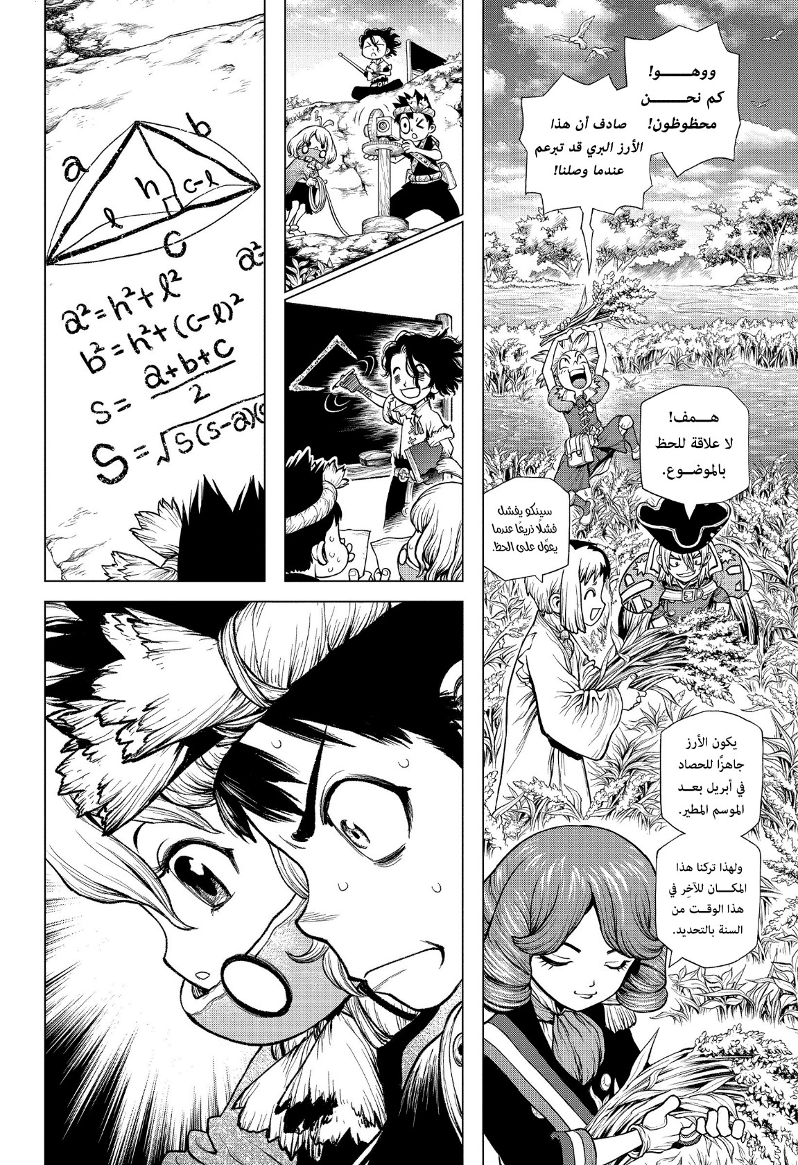 Dr. Stone: Chapter 211 - Page 9