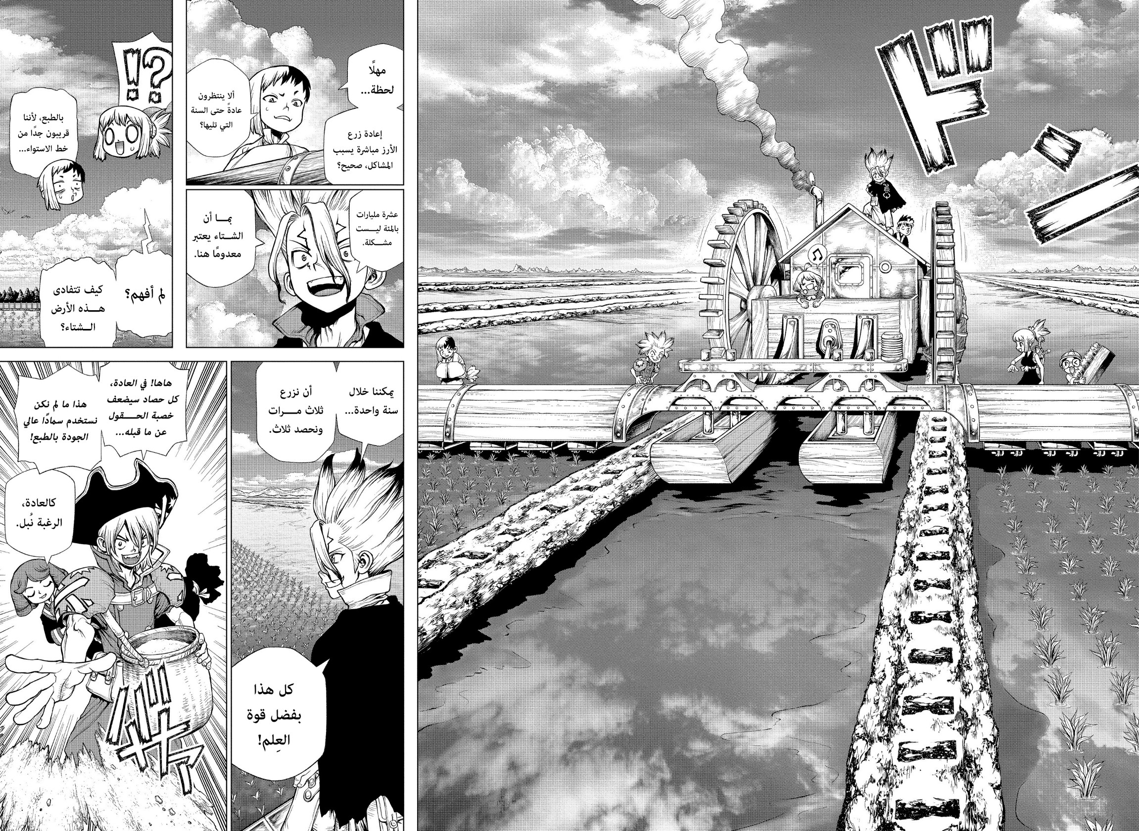 Dr. Stone: Chapter 211 - Page 11