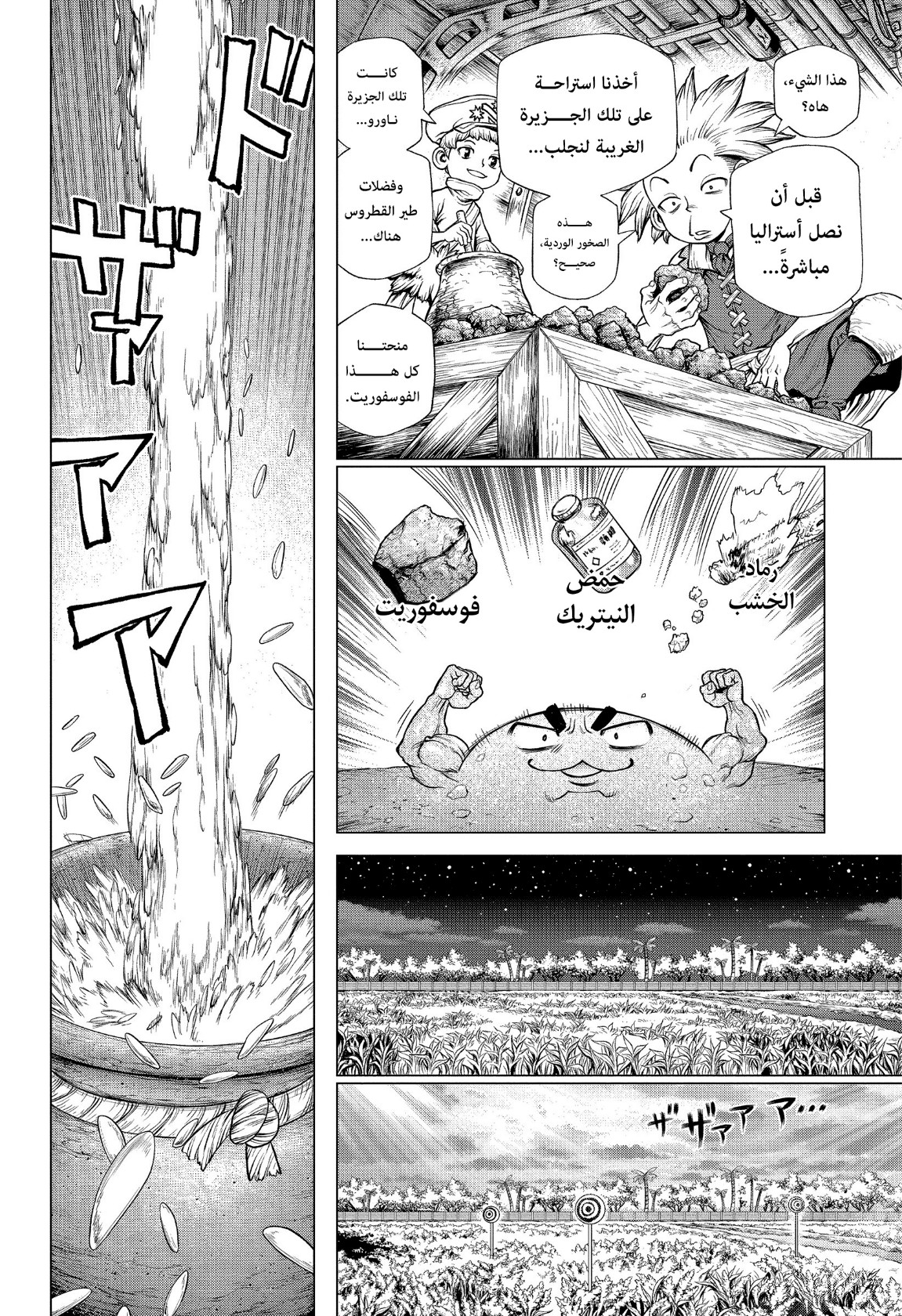 Dr. Stone: Chapter 211 - Page 12