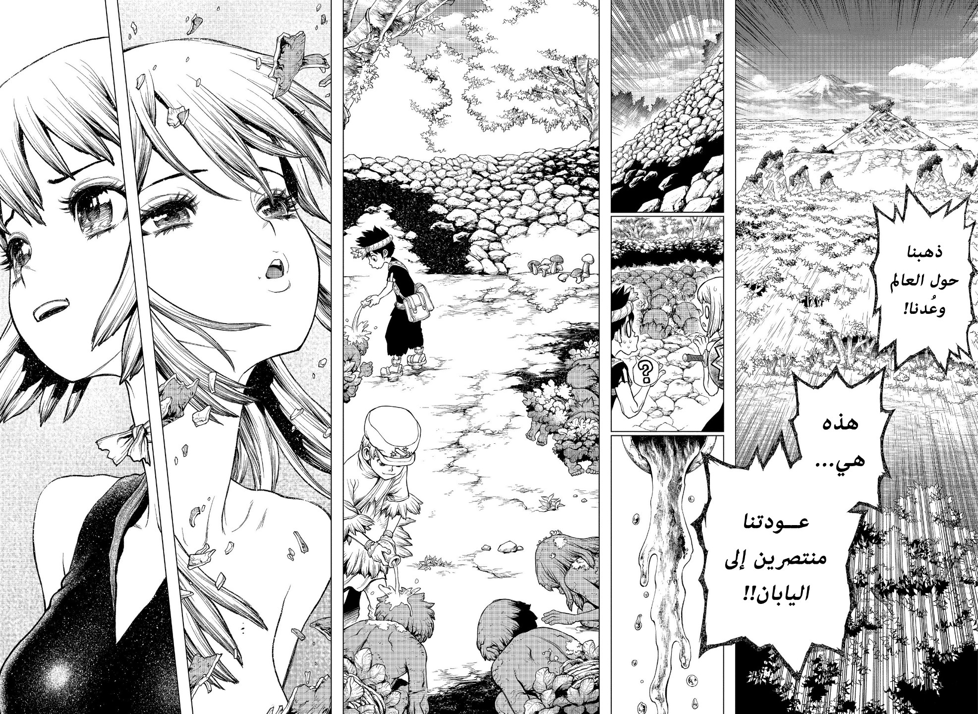 Dr. Stone: Chapter 212 - Page 7