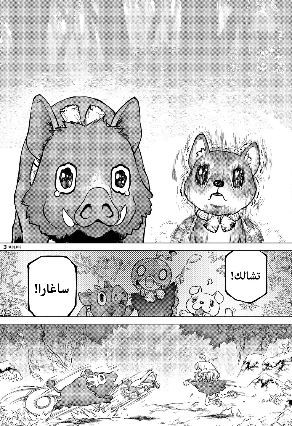 Dr. Stone: Chapter 212 - Page 12