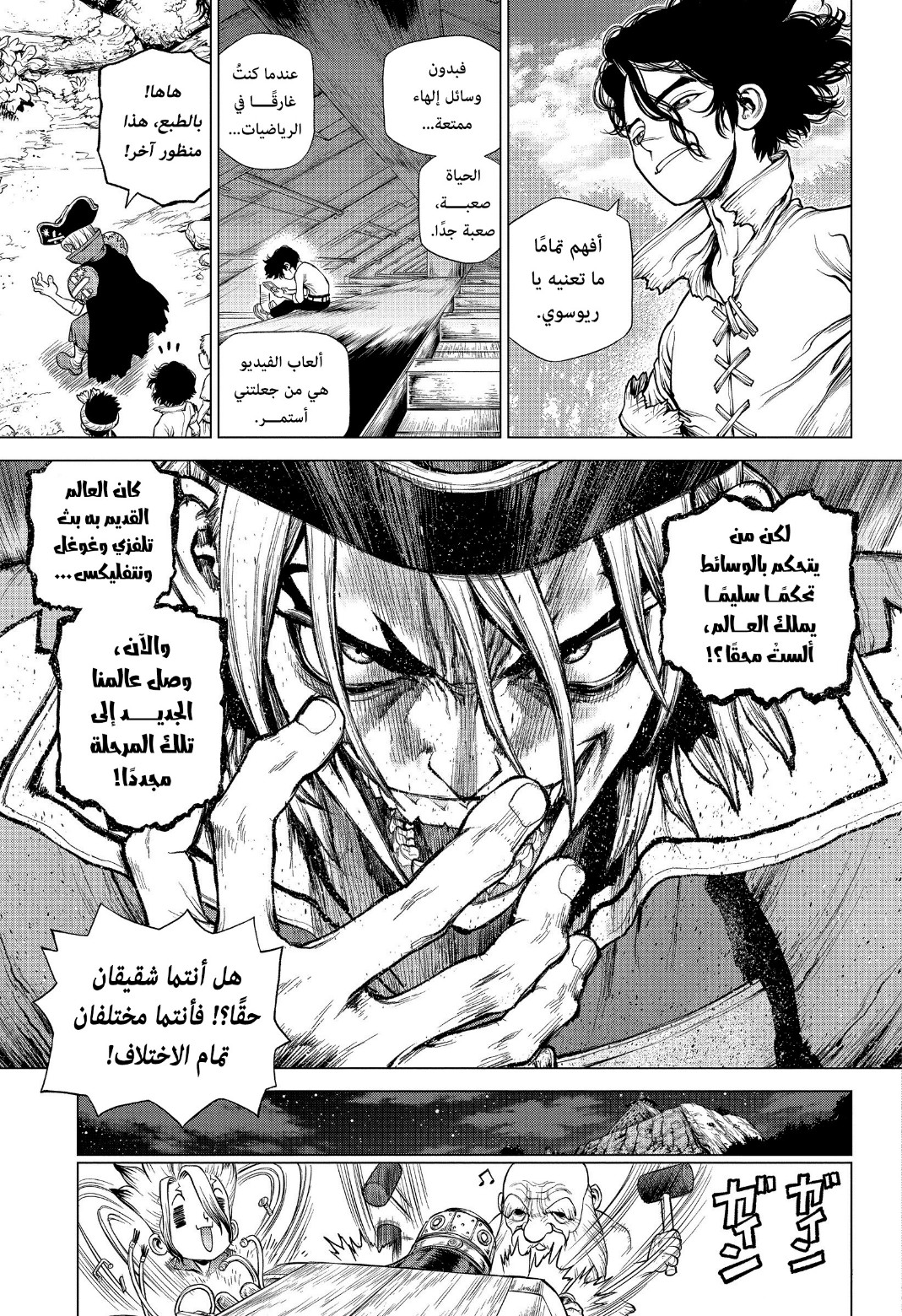 Dr. Stone: Chapter 213 - Page 5