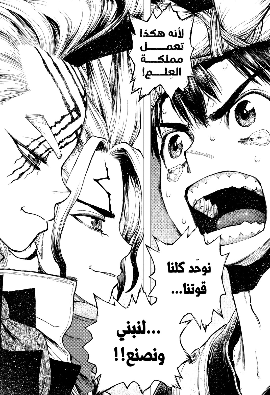 Dr. Stone: Chapter 217 - Page 12