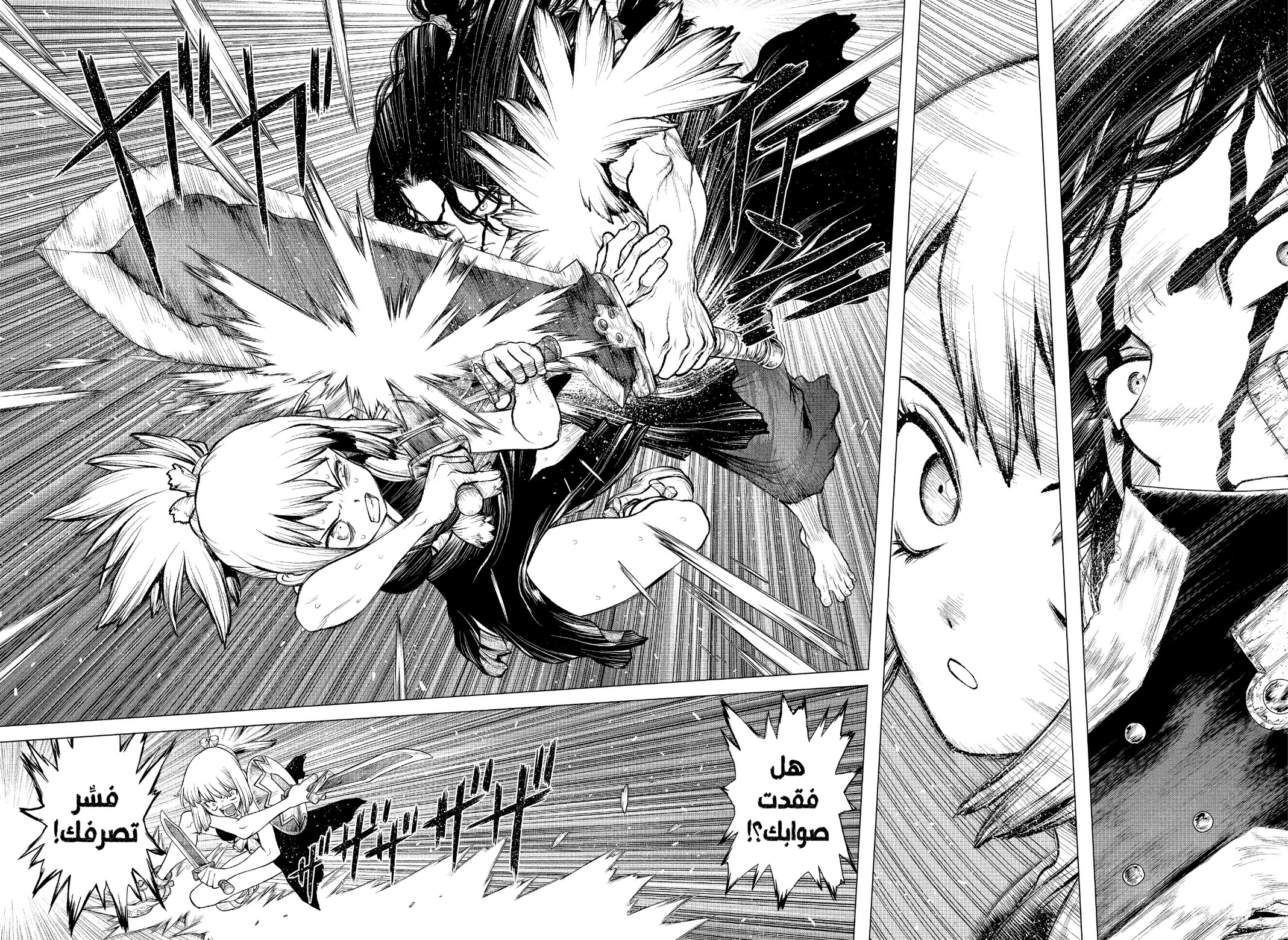 Dr. Stone: Chapter 219 - Page 15