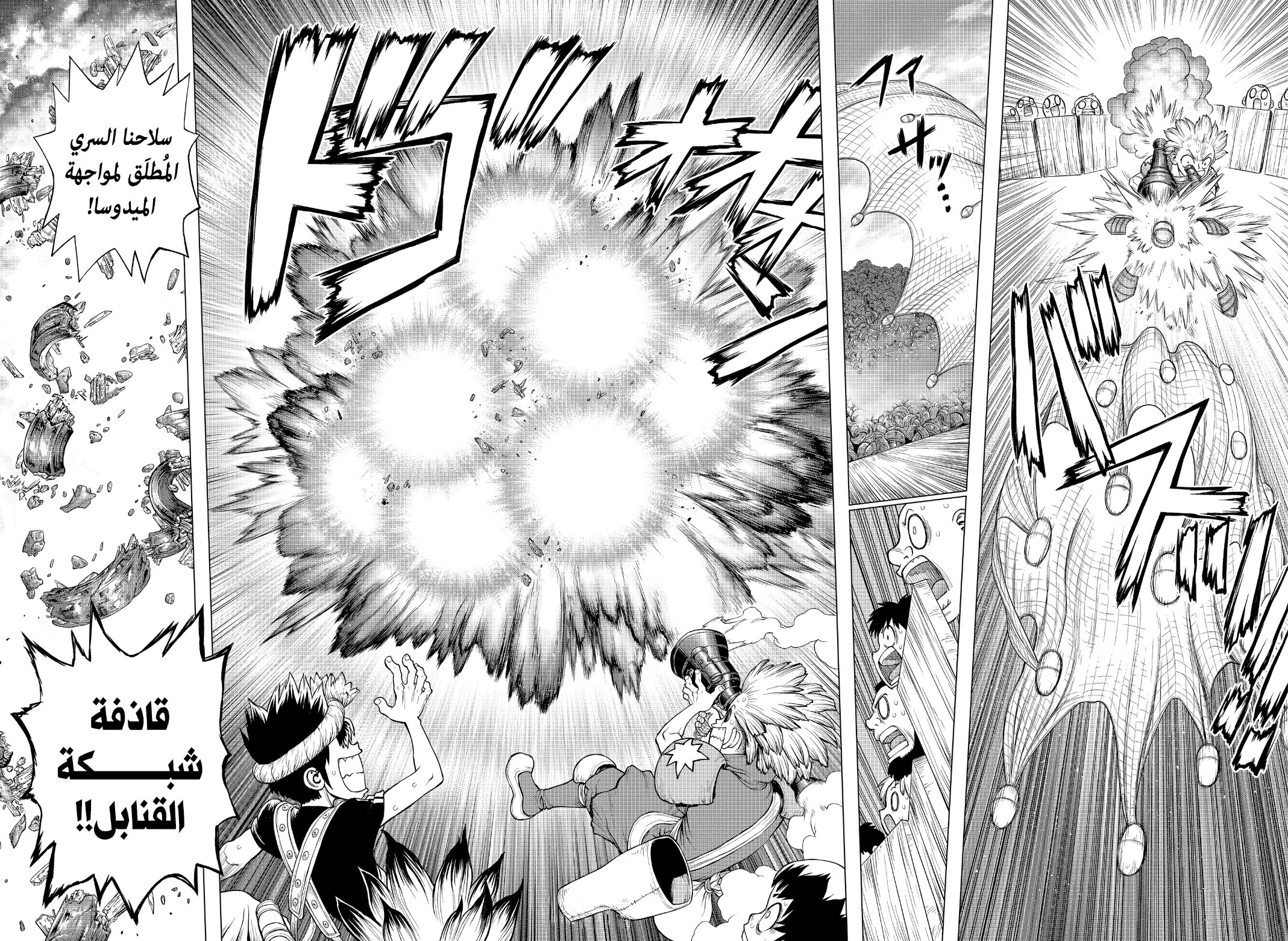 Dr. Stone: Chapter 220 - Page 13