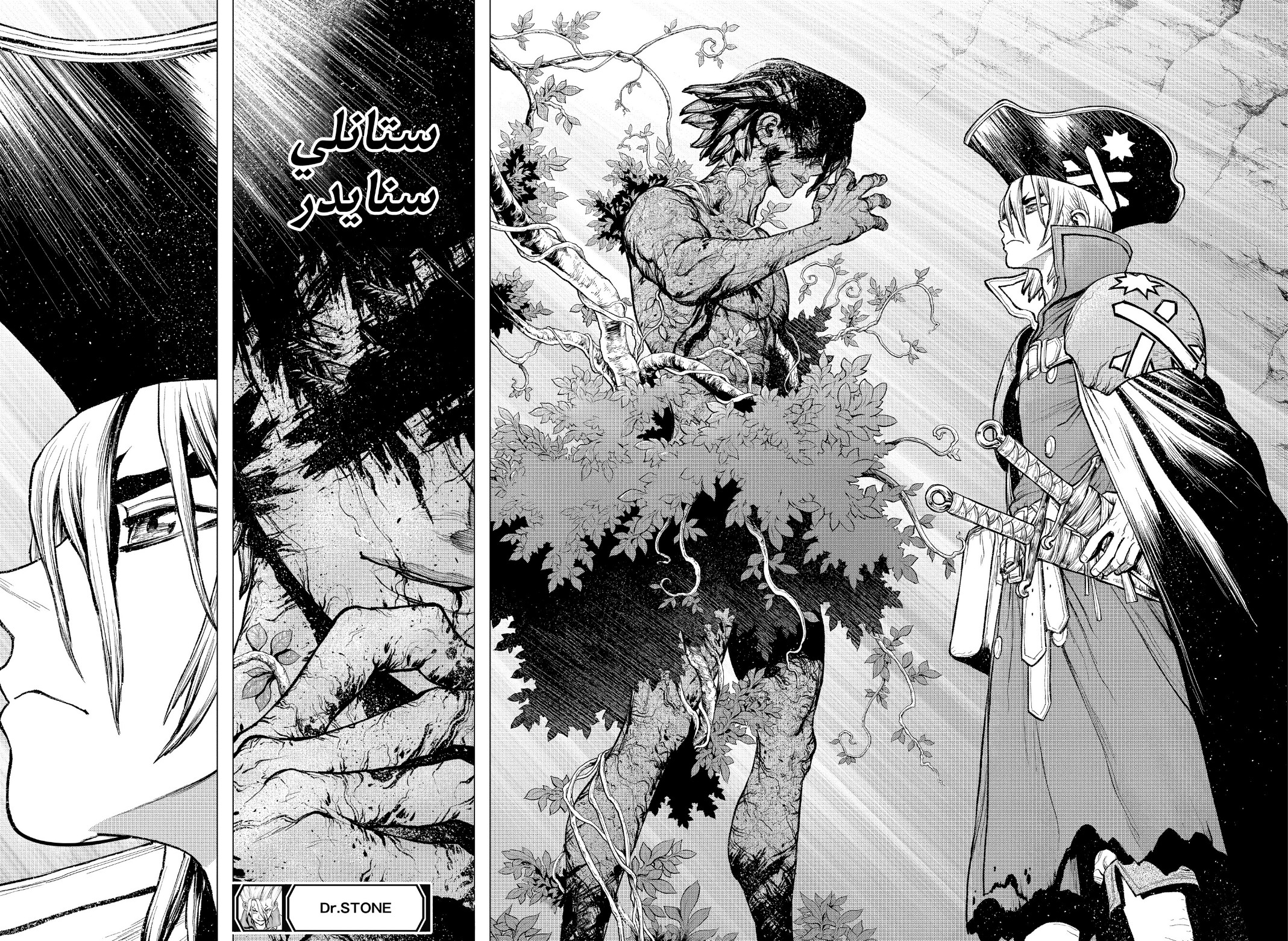 Dr. Stone: Chapter 220 - Page 18