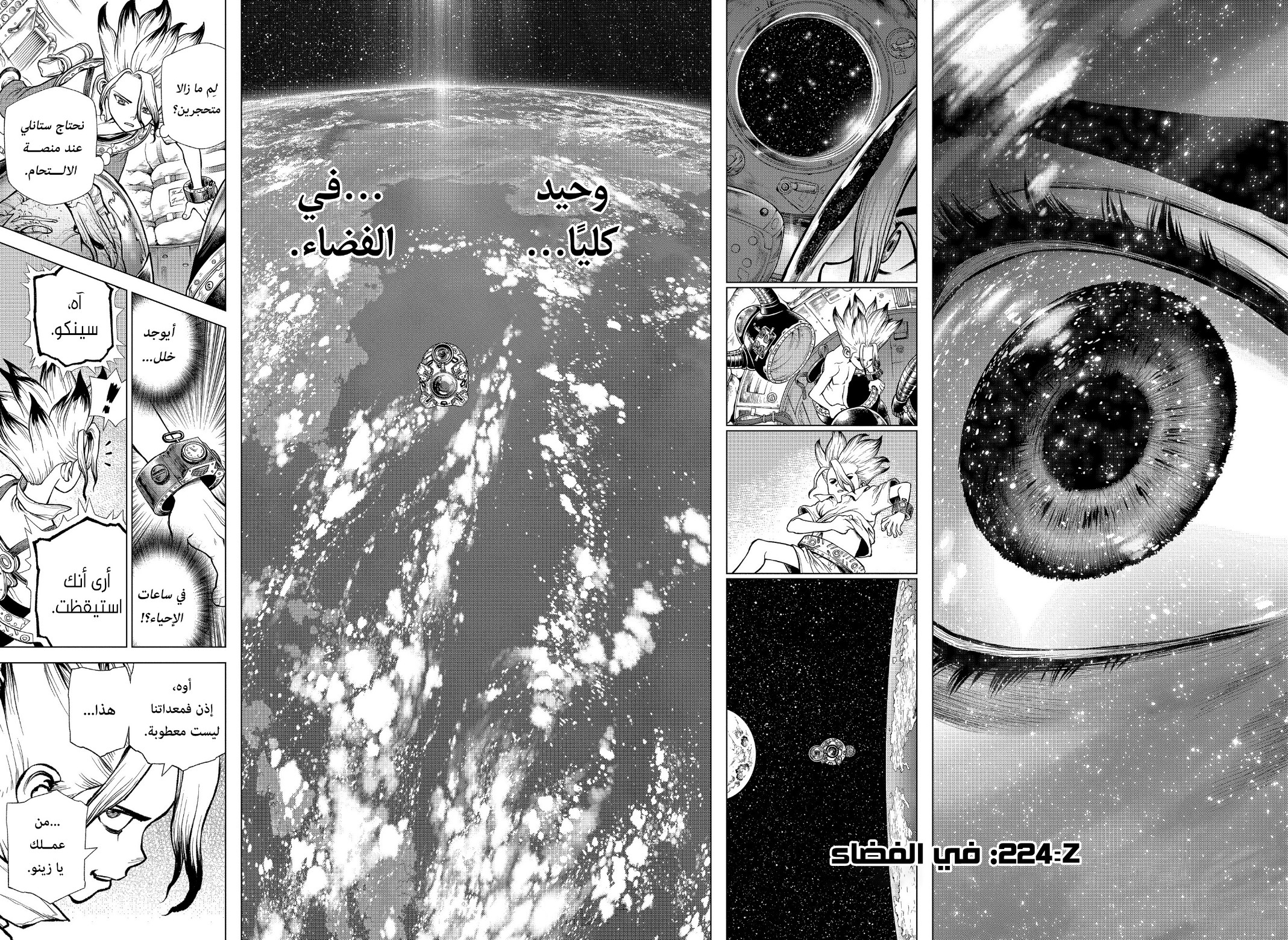 Dr. Stone: Chapter 224 - Page 8