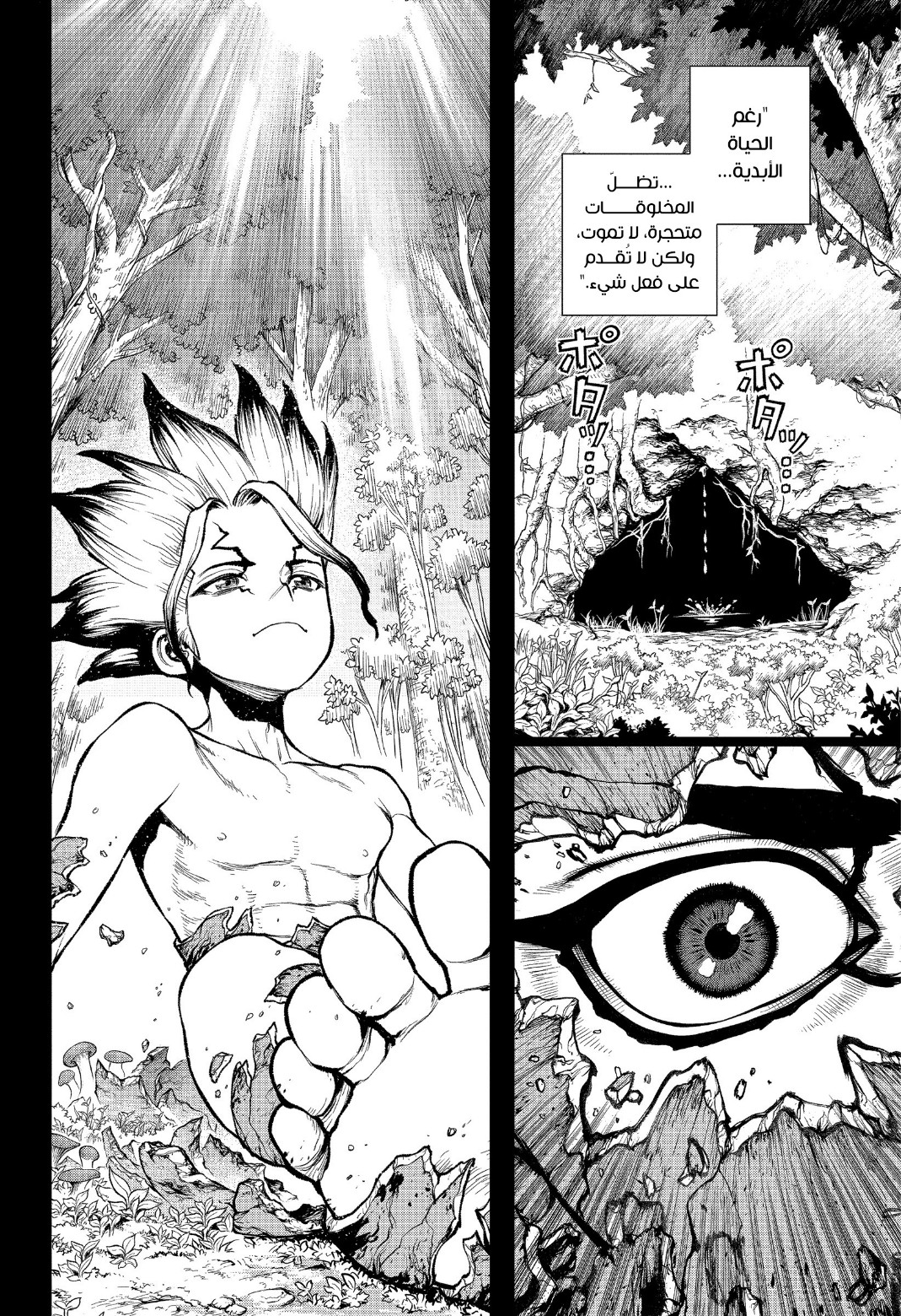Dr. Stone: Chapter 229 - Page 14