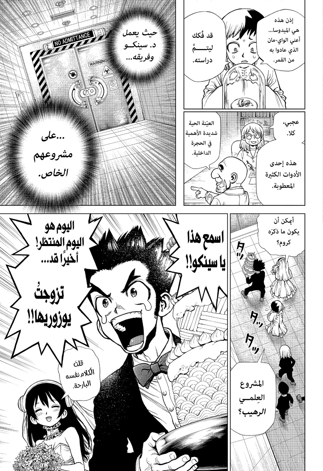 Dr. Stone: Chapter 232 - Page 13