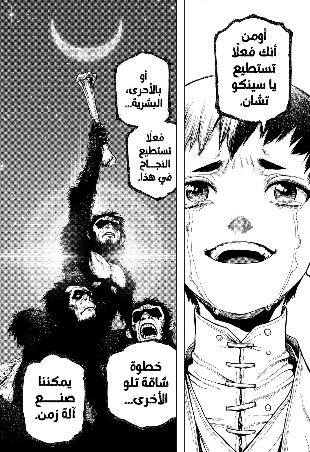 Dr. Stone: Chapter 232 - Page 19