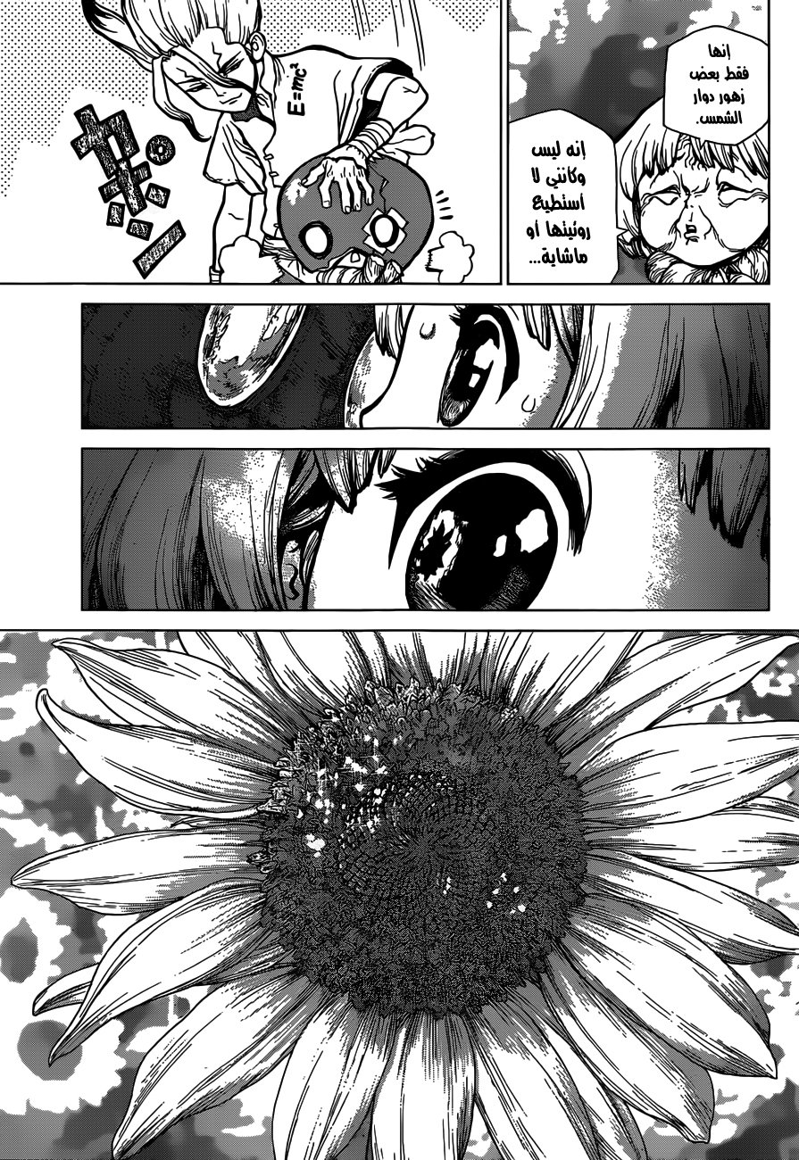 Dr. Stone: Chapter 28 - Page 13