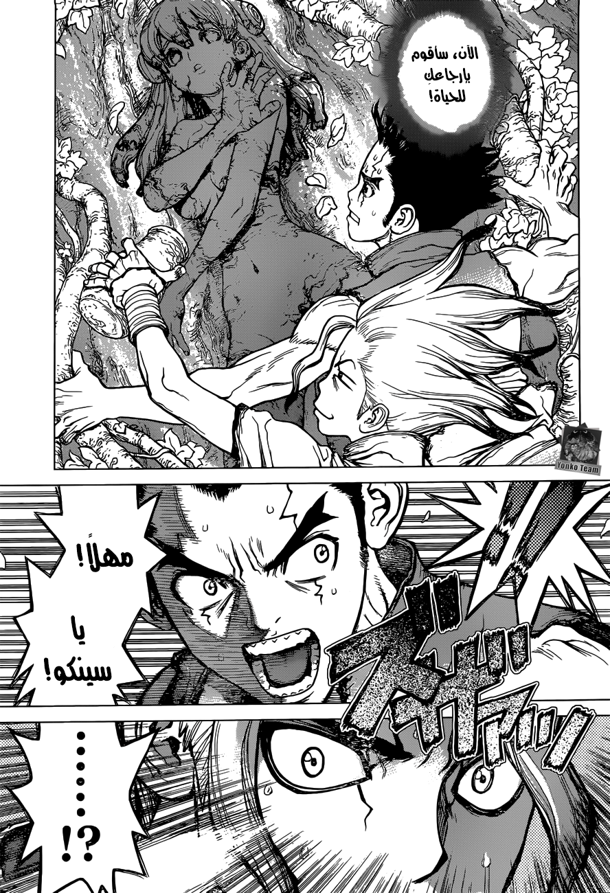 Dr. Stone: Chapter 3 - Page 4