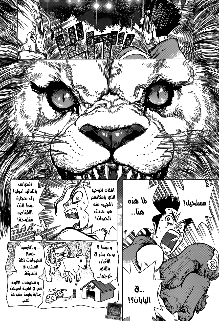 Dr. Stone: Chapter 3 - Page 7