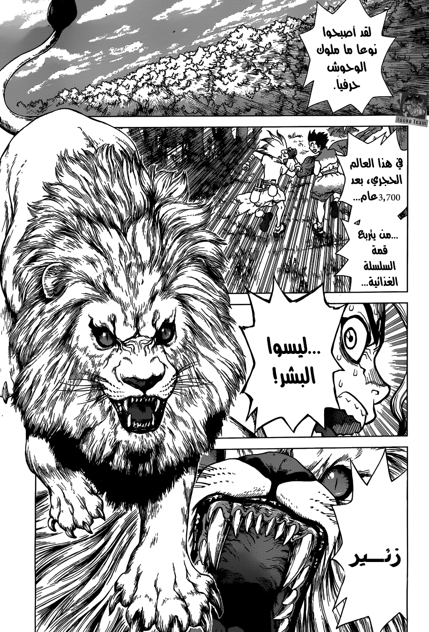 Dr. Stone: Chapter 3 - Page 8