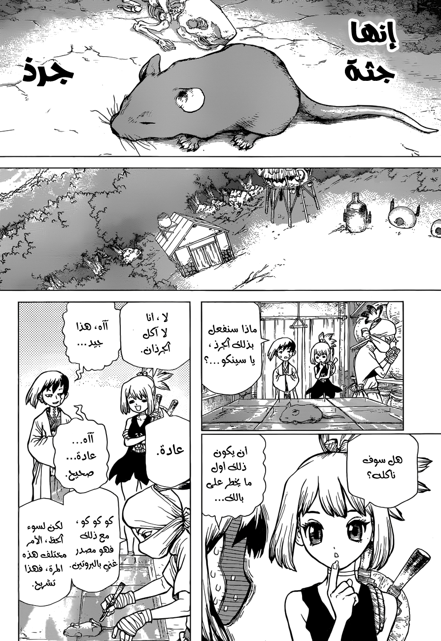Dr. Stone: Chapter 41 - Page 4