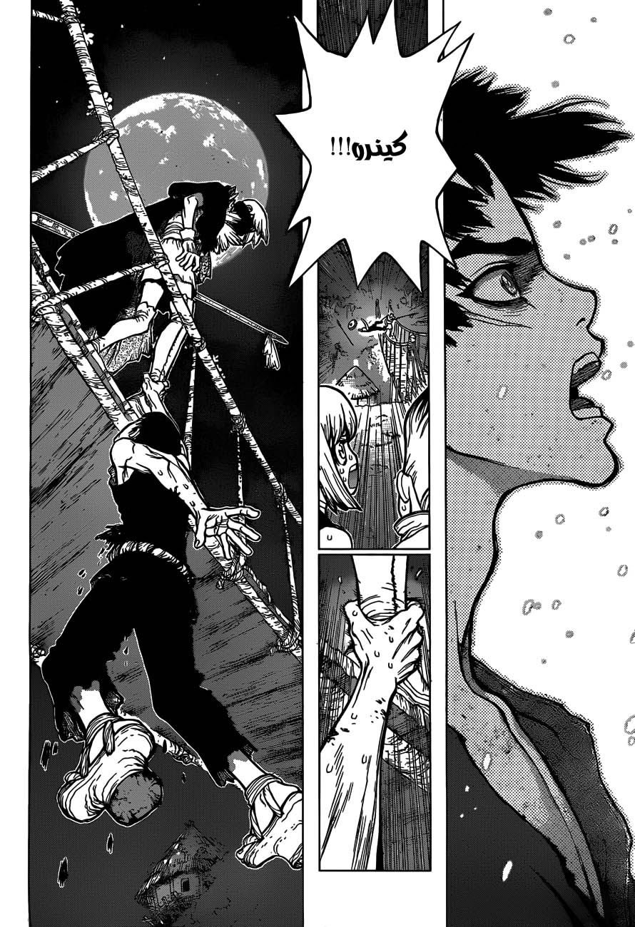 Dr. Stone: Chapter 46 - Page 12