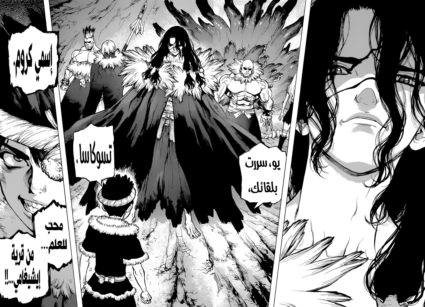 Dr. Stone: Chapter 67 - Page 13