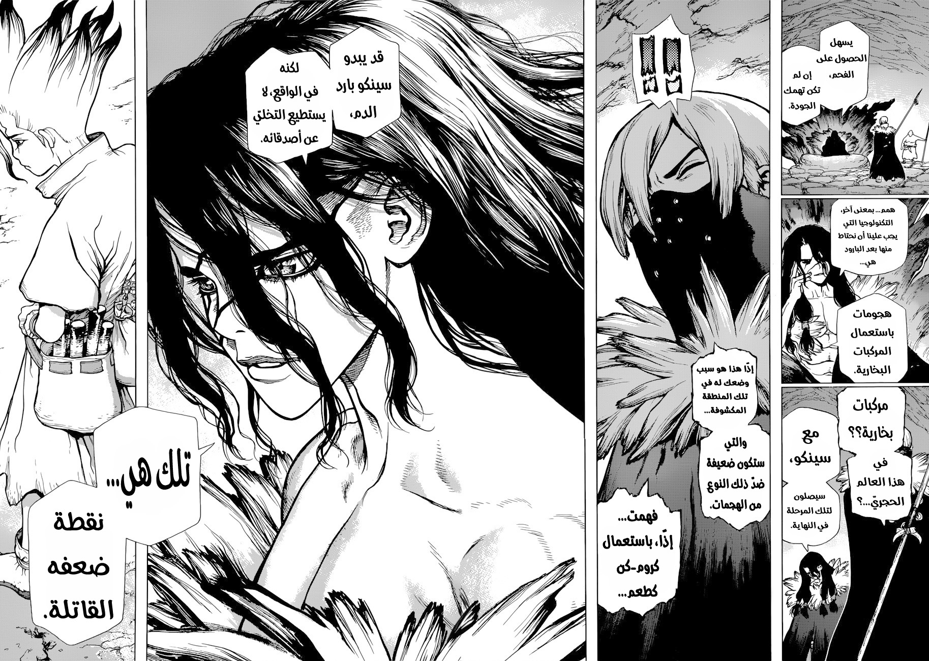 Dr. Stone: Chapter 70 - Page 15