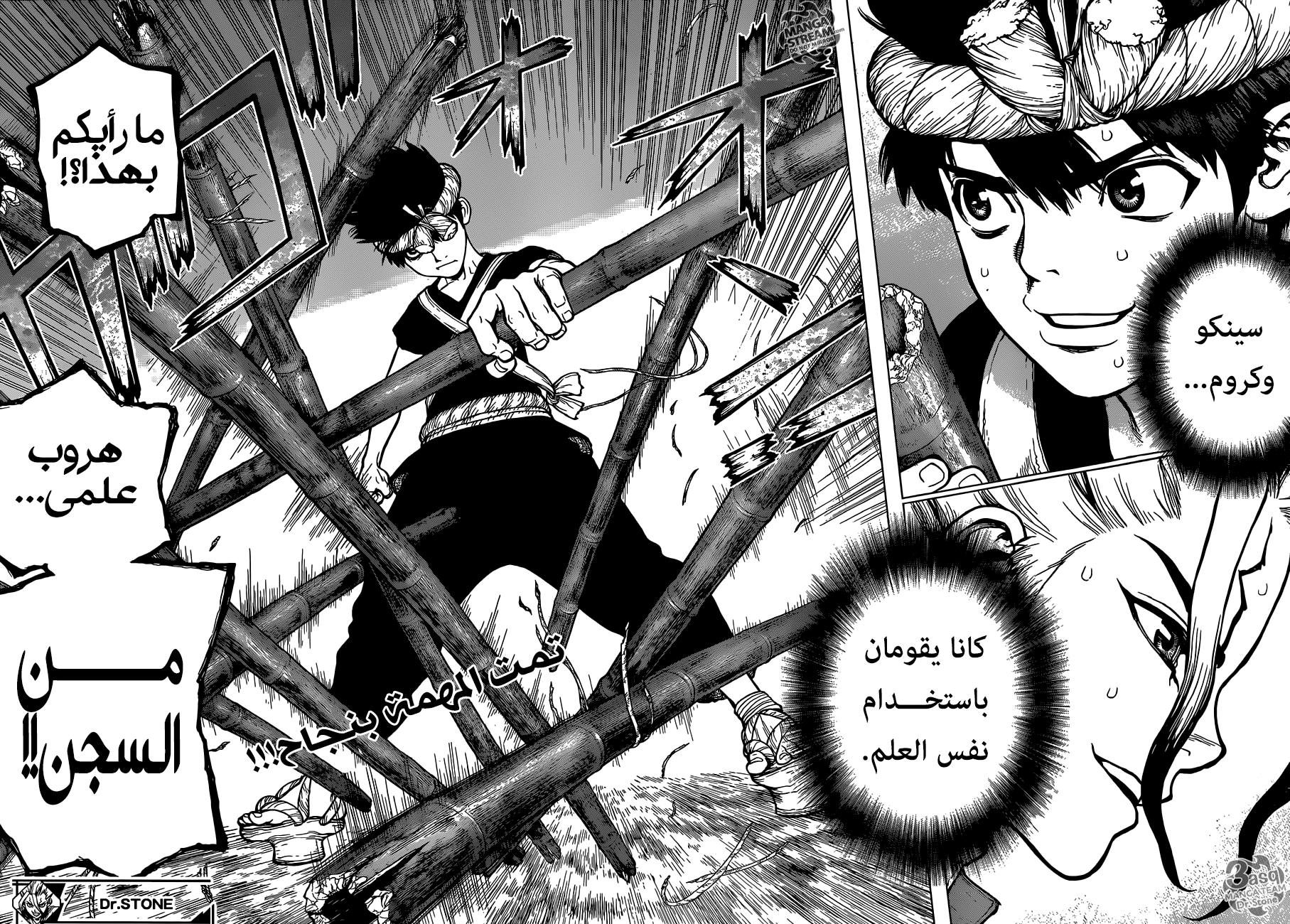 Dr. Stone: Chapter 71 - Page 19