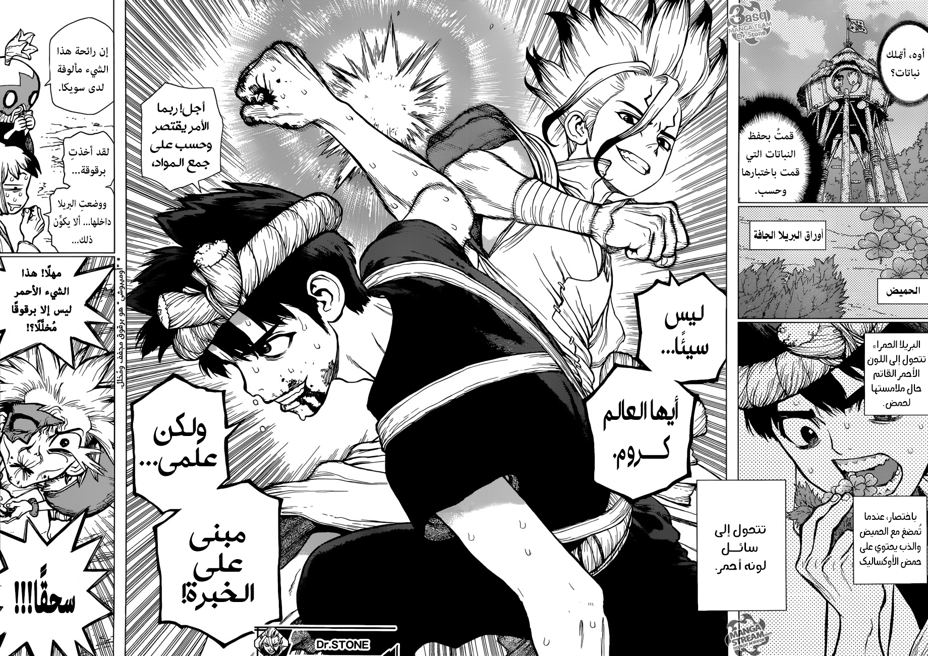 Dr. Stone: Chapter 72 - Page 16