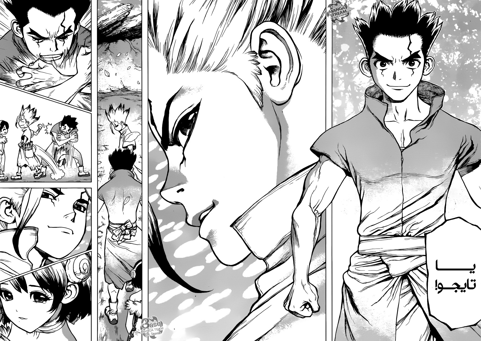 Dr. Stone: Chapter 74 - Page 12