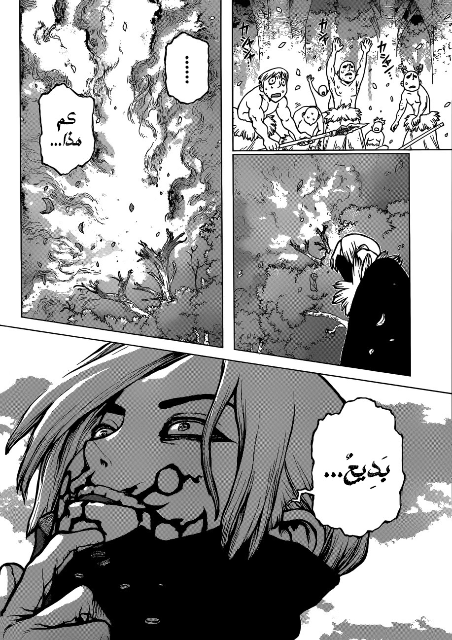 Dr. Stone: Chapter 78 - Page 5