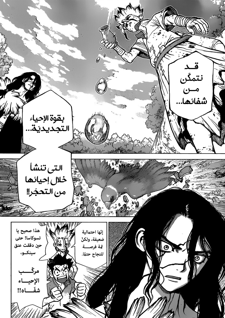 Dr. Stone: Chapter 78 - Page 11