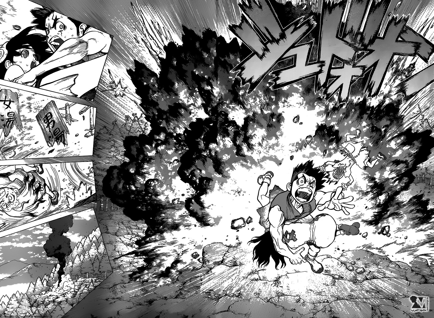 Dr. Stone: Chapter 8 - Page 11