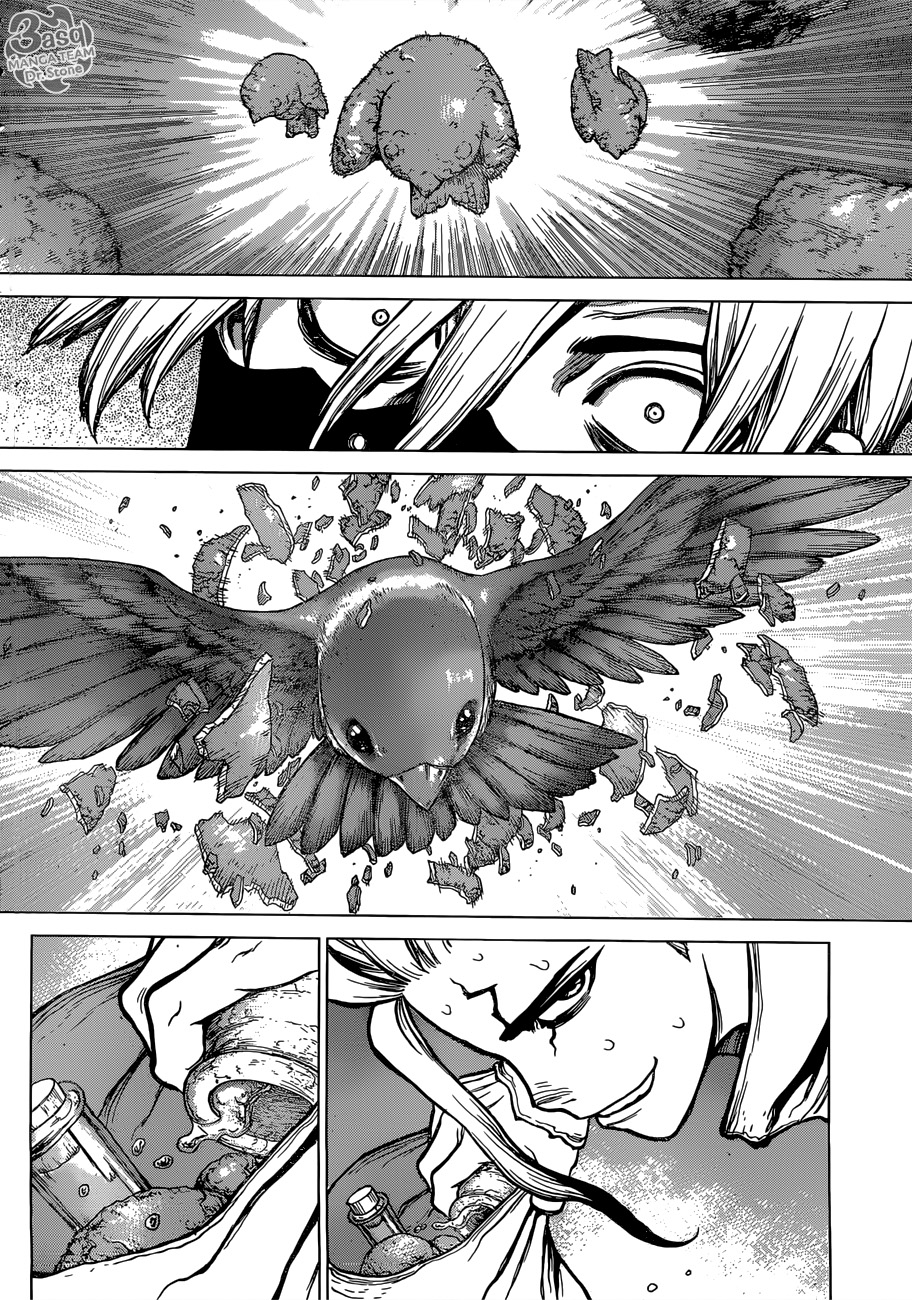 Dr. Stone: Chapter 80 - Page 14