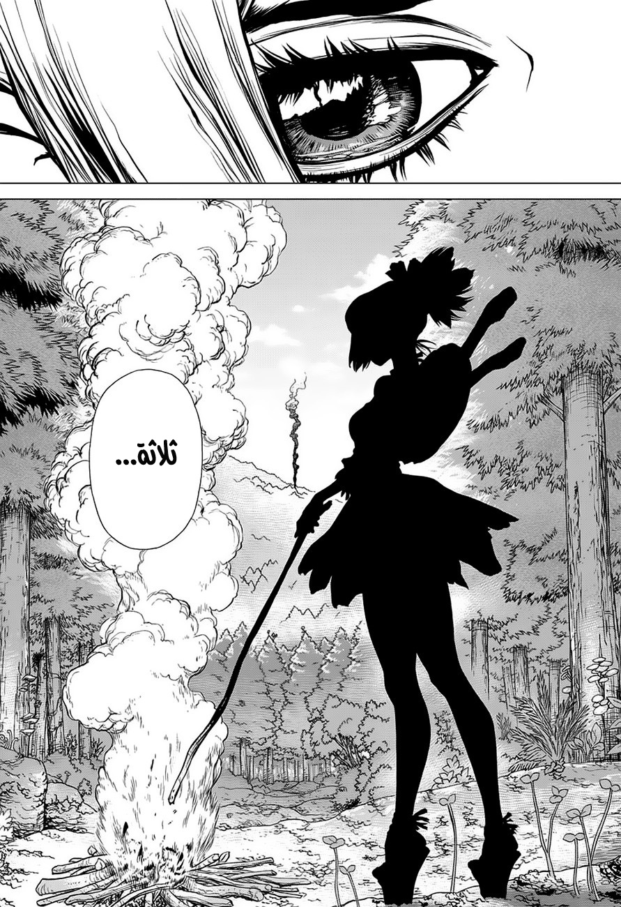 Dr. Stone: Chapter 9 - Page 17