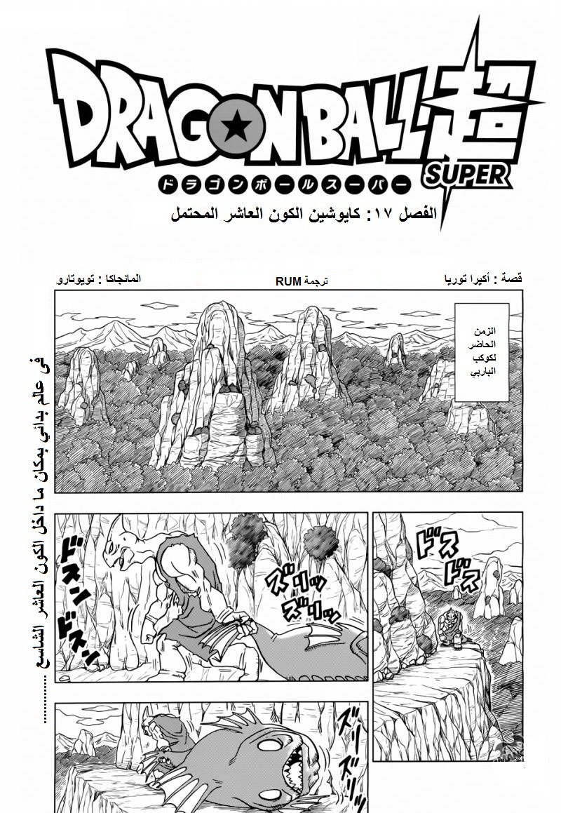 Dragon Ball Super: Chapter 17 - Page 2