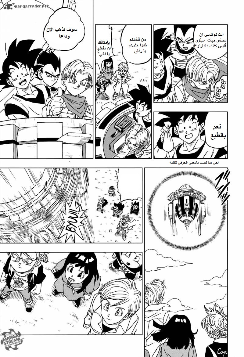 Dragon Ball Super: Chapter 18 - Page 29