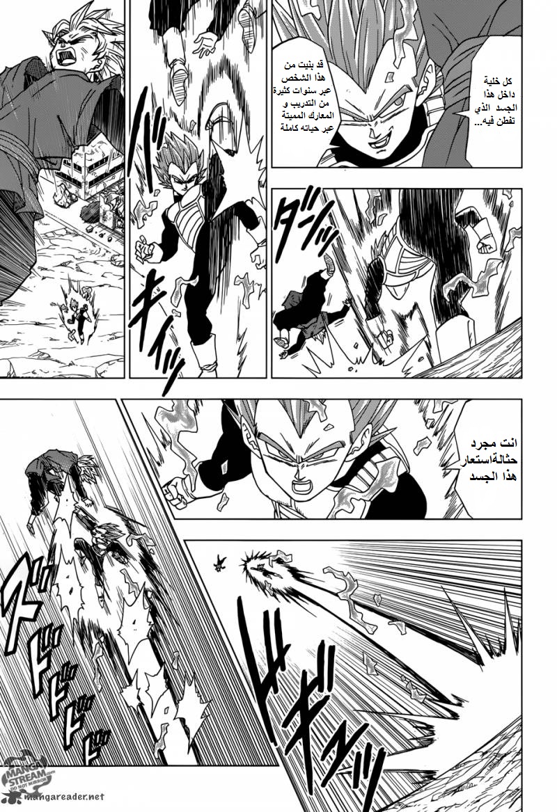 Dragon Ball Super: Chapter 19 - Page 15